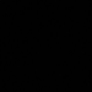 Meet your Posher, Dayana